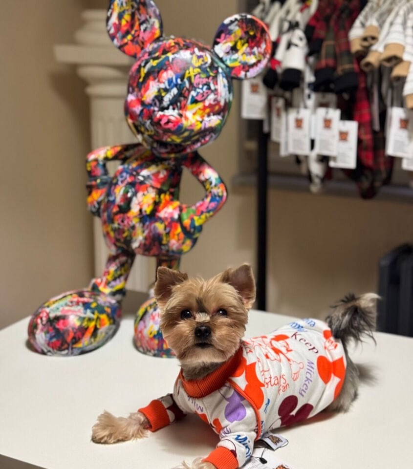 Turuncu Mickey Mouse Desenli Köpek Kıyafeti-Mickey Fun Pati Sweat