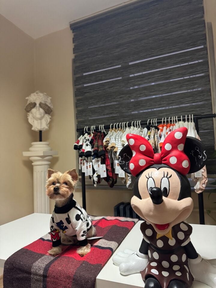 Mickey Mouse Desenli Köpek Kıyafeti-Happy Paws Mickey Sweat