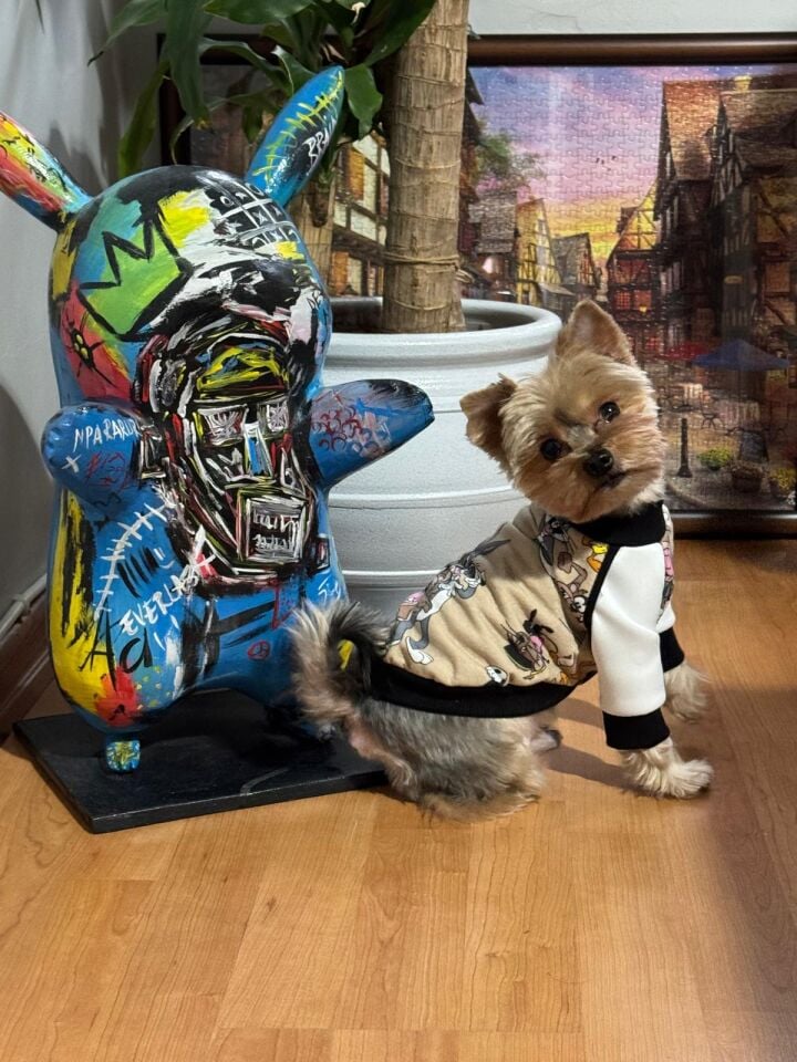 Buggs Bunny Desenli Köpek Kıyafeti-Retro Cartoon Sweat