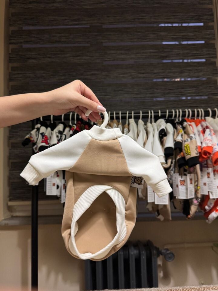 Sevimli Ayıcık Detaylı Köpek Kıyafeti-Teddy Hug Sweat