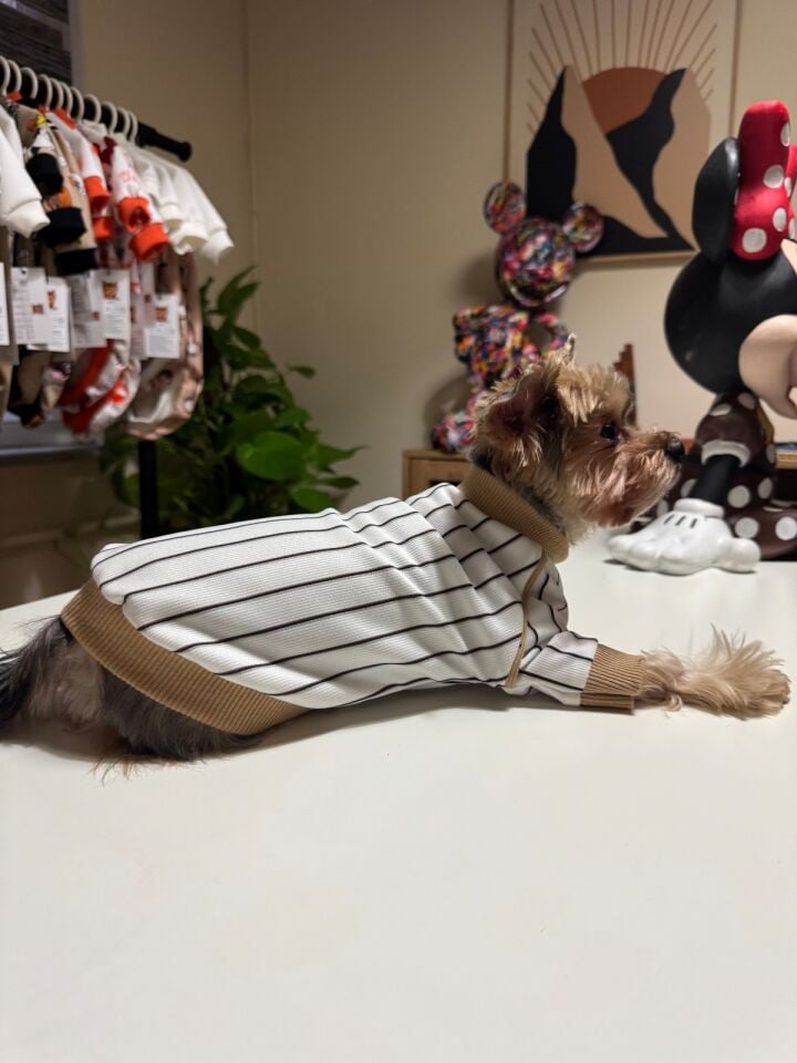 Dikey Çizgili Basic Köpek Kıyafeti - Soft Stripe Shirt
