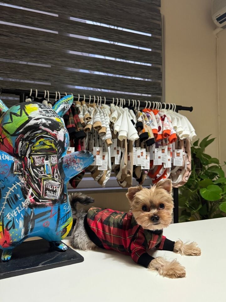 Kırmızı Ekose Desenli Köpek Kıyafeti-Classic Plaid Shirt