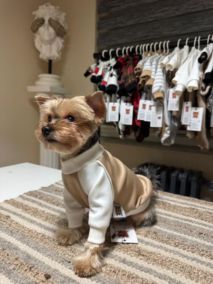 Bej Renk Basic Köpek Kıyafeti-Soft Touch Shirt