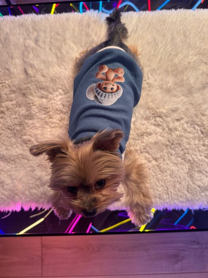 Blue Mochi Tshirt