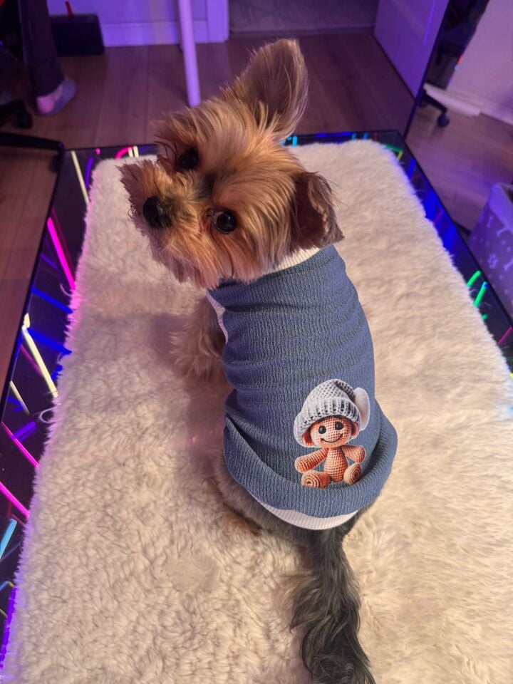 Blue Mochi Tshirt