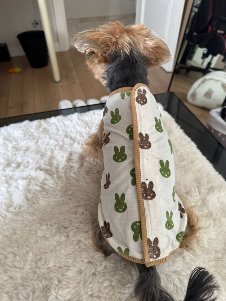 Bunny Mood Vest