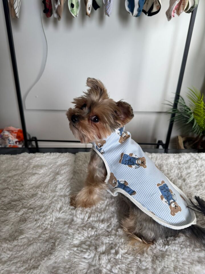 Mini Bear Spring Vest