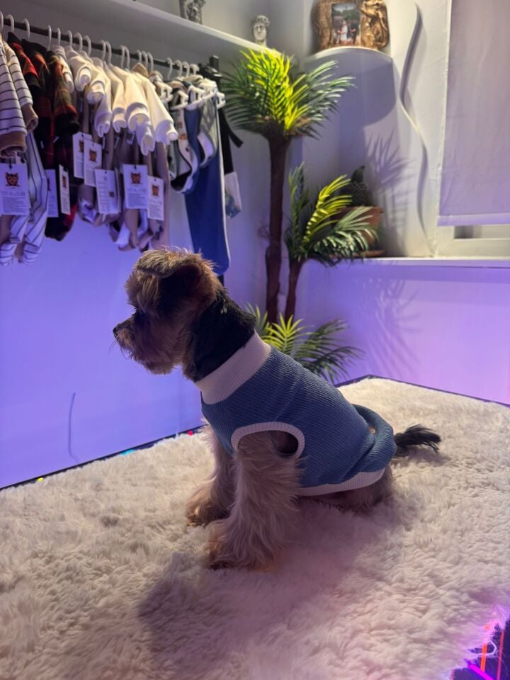 Mini Dolly Tshirt