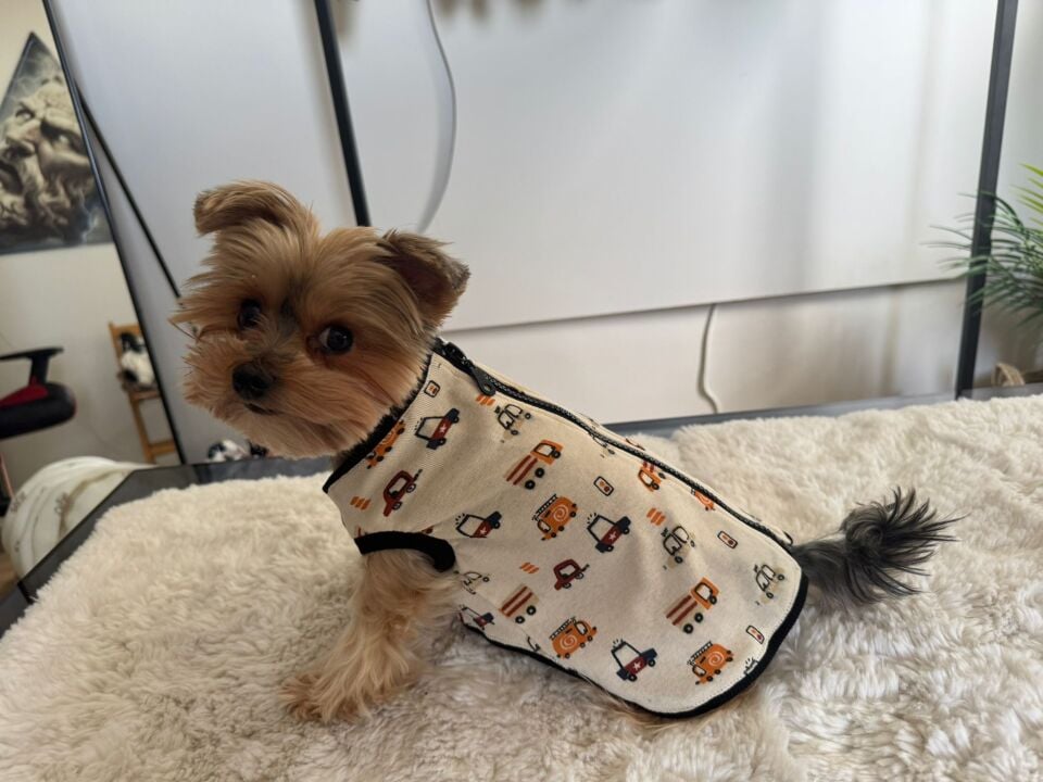 Tiny Cars Soft Vest