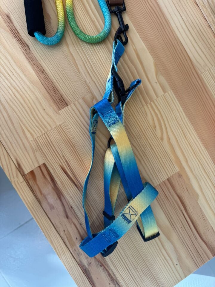 Tutma Aparatlı, Metal Klipsli, Mavi Sarı Gradyanlı Göğüs Tasması