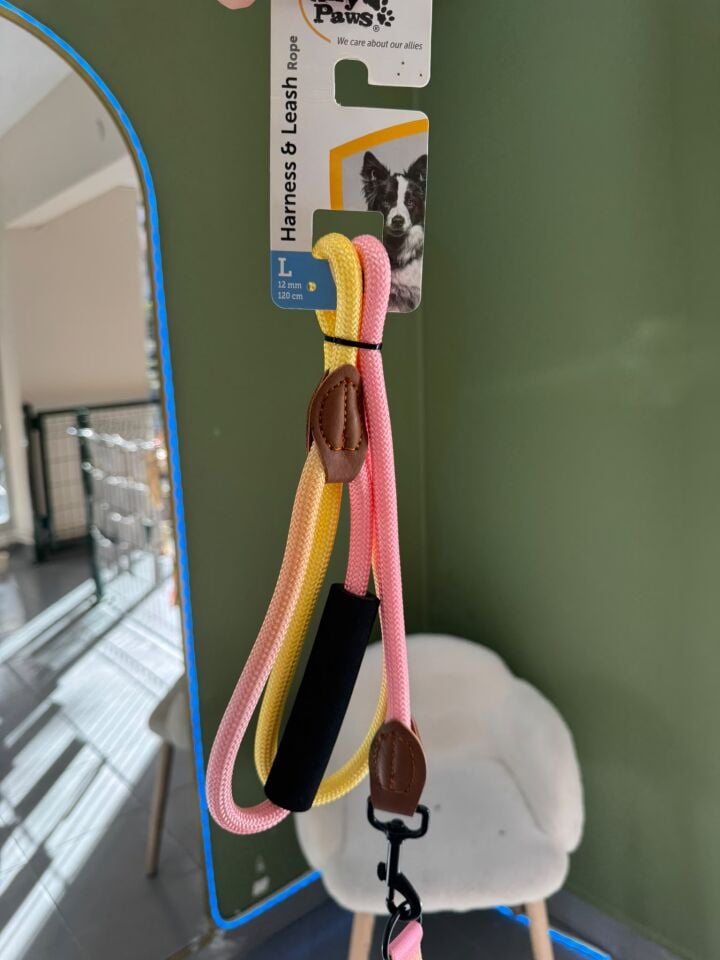 Tutma Aparatlı, Metal Klipsli, Pembe Sarı Gradyanlı Göğüs Tasması