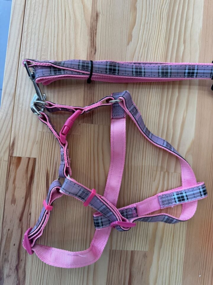 Metal Klipsli, Koyu Pembe Ekose Desenli Göğüs Tasması