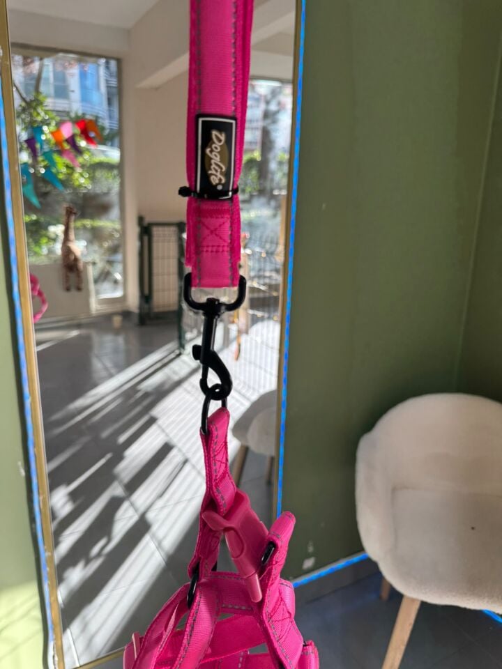 Siyah Metal Klipsli, Düz Renk Pembe Göğüs Tasması