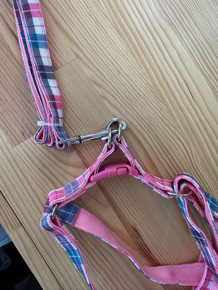 Metal Klipsli, Pembe Ekose Desenli Göğüs Tasması