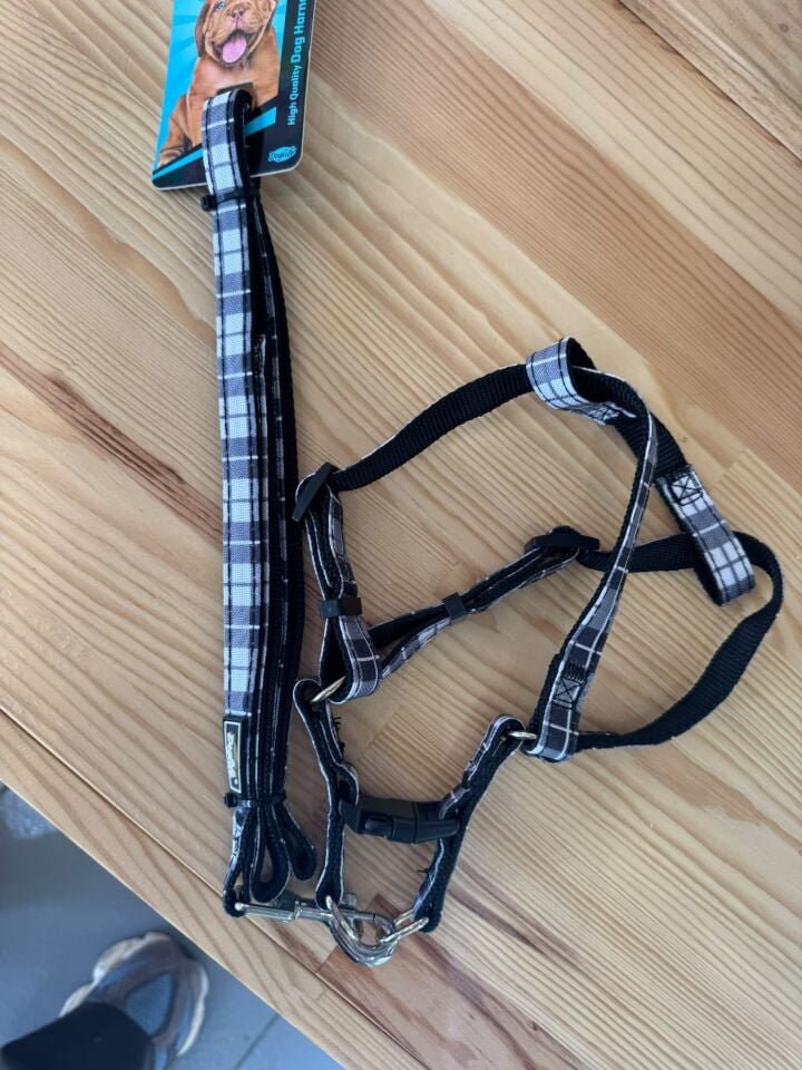 Metal Klipsli, Siyah Ekose Desenli Göğüs Tasması