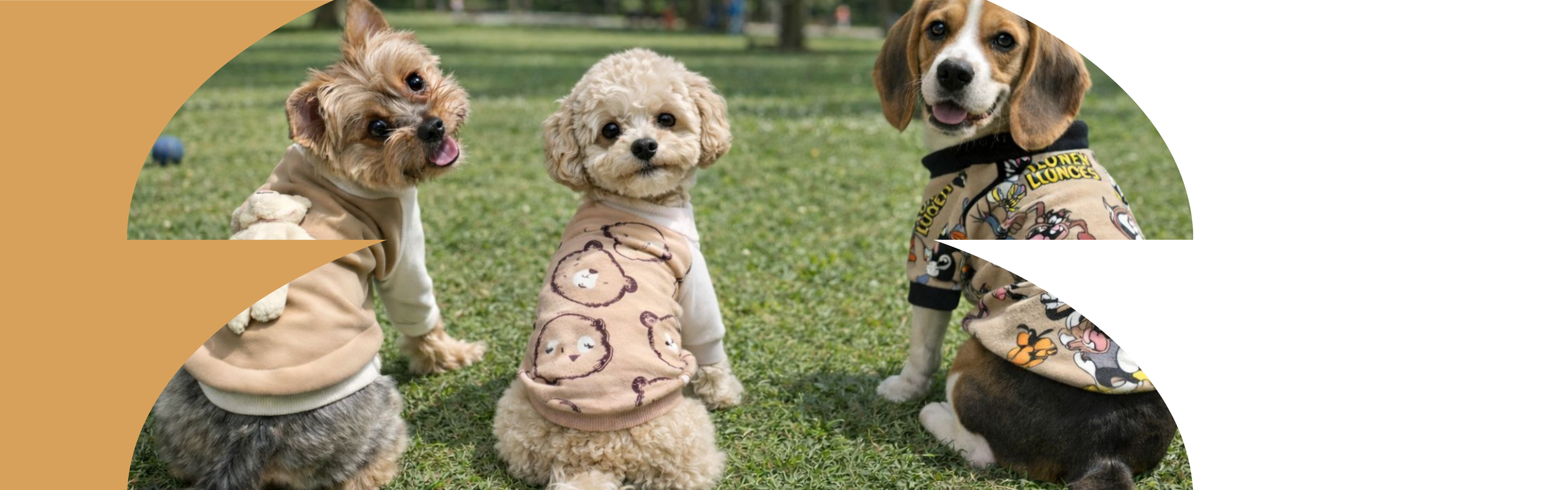 <br/> <br/>Tarz Patiler