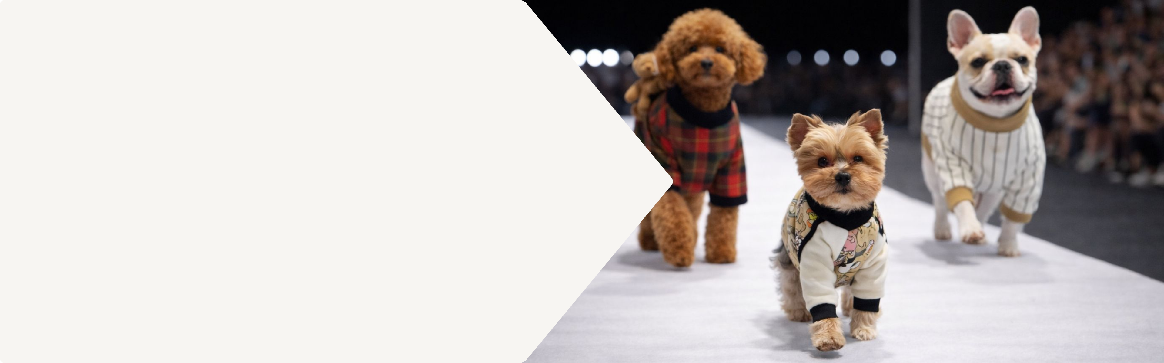 PET FASHION